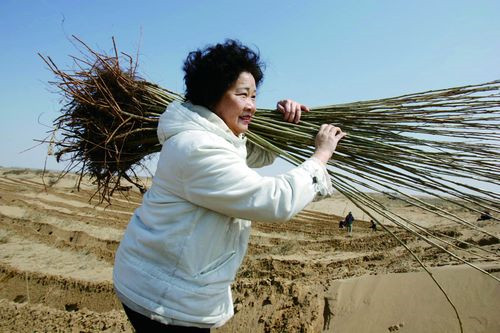 公益先锋特别策划：“大地妈妈”易解放的十五年生死承诺